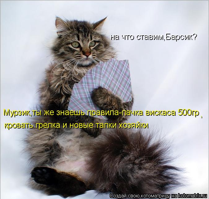 на что ставим,Барсик? Мурзик,ты же знаешь правила-пачка вискаса 500гр кровать грелка и новые тапки хо... Котоматрица: на что ставим,Барсик? Мурзик,ты же знаешь правила-пачка вискаса 500гр кровать грелка и новые тапки хозяйки ,