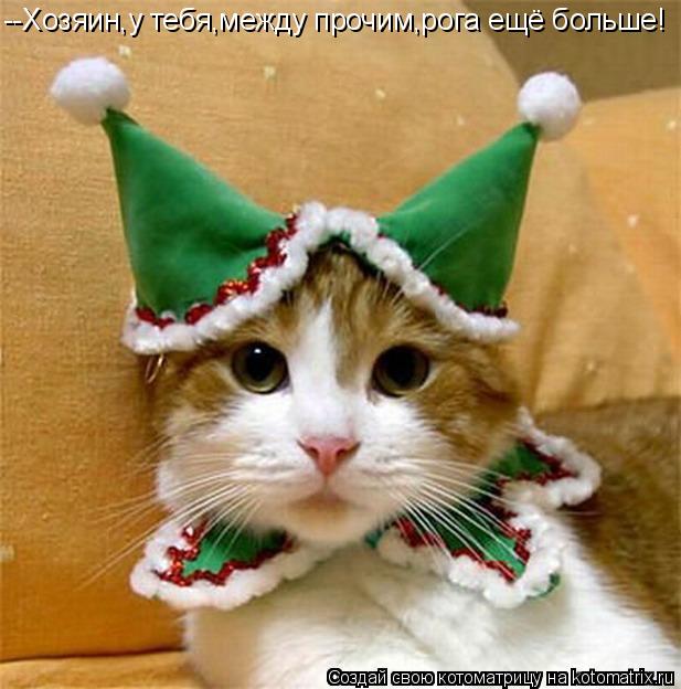 --Хозяин,у тебя,между прочим,рога ещё больше!... Котоматрица: --Хозяин,у тебя,между прочим,рога ещё больше!