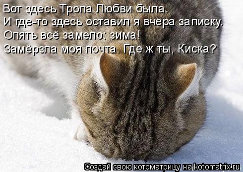 Котоматрица: Вот здесь Тропа Любви была. И где-то здесь оставил я вчера записку. Опять всё замело: зима! Замёрзла моя почта. Где ж ты, Киска?