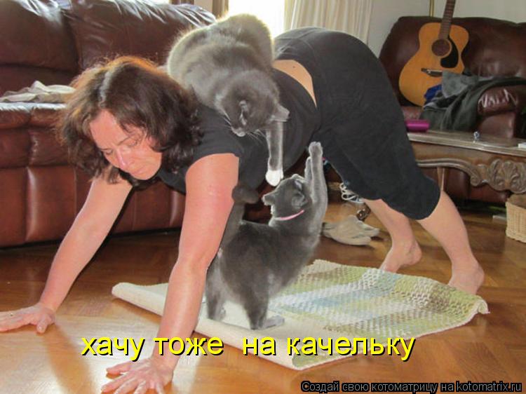 хачу тоже на качельку... Котоматрица: хачу тоже на качельку