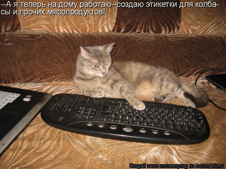 --А я теперь на дому работаю--создаю этикетки для колба- сы и прочих мясопродуктов!... Котоматрица: --А я теперь на дому работаю--создаю этикетки для колба- сы и прочих мясопродуктов!