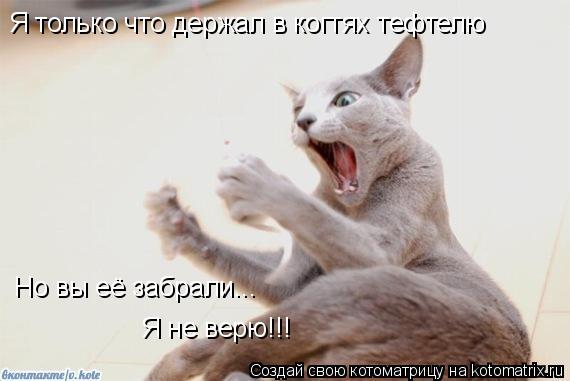 Котоматрица: Я только что держал в когтях тефтелю Но вы её забрали... Я не верю!!!