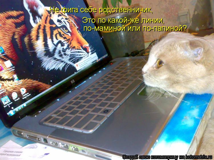 Не фига себе родственничик, Это по какой-же линии, по-маминой или по-папиной?... Котоматрица: Не фига себе родственничик, Это по какой-же линии, по-маминой или по-папиной?