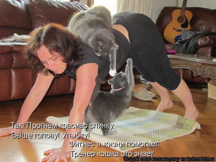 Котоматрица: Так! Прогнём красиво спинку. Выше голову! Улыбку! Фитнес в жизни помогает. Тренер кошка это знает.