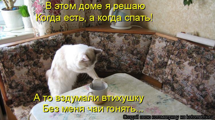 В этом доме я решаю Когда есть, а когда спать! А то вздумали втихушку Без меня чаи гонять...... Котоматрица: В этом доме я решаю Когда есть, а когда спать! А то вздумали втихушку Без меня чаи гонять...