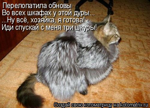 Котоматрица: Перелопатила обновы Во всех шкафах у этой дуры... ...Ну всё, хозяйка, я готова! -  Иди спускай с меня три шкуры!