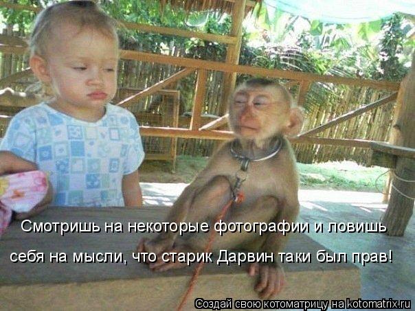Смотришь на некоторые фотографии и ловишь себя на мысли, что старик Дарвин таки был прав!... Котоматрица: Смотришь на некоторые фотографии и ловишь себя на мысли, что старик Дарвин таки был прав!