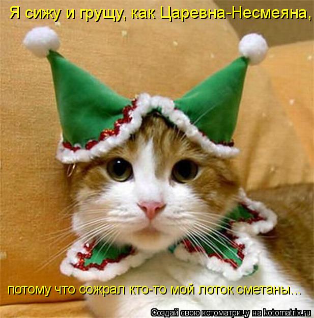 Котоматрица: Я сижу и грущу, как Царевна-Несмеяна,  потому что сожрал кто-то мой лоток сметаны...