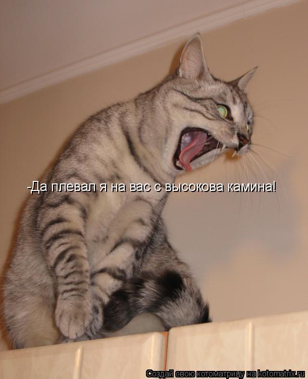 Котоматрица: -Да плевал я на вас с высокова камина!