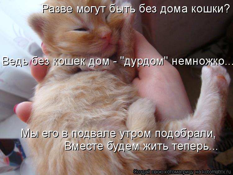 Котоматрица: Разве могут быть без дома кошки?  Ведь без кошек дом - "дурдом" немножко... Вместе будем жить теперь... Мы его в подвале утром подобрали,