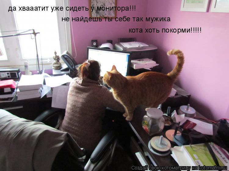 да хвааатит уже сидеть у монитора!!! не найдешь ты себе так мужика кота хоть покорми!!!!!... Котоматрица: да хвааатит уже сидеть у монитора!!! не найдешь ты себе так мужика кота хоть покорми!!!!!