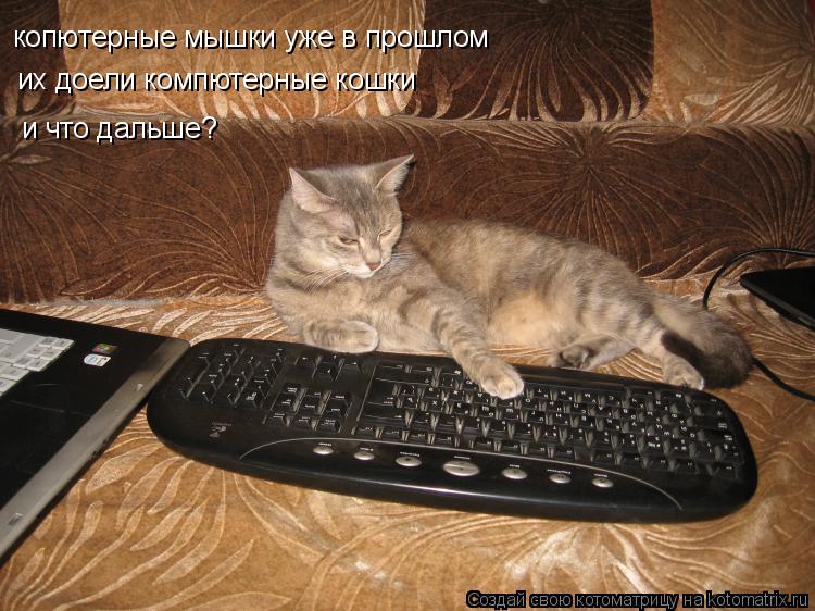 Котоматрица: копютерные мышки уже в прошлом их доели компютерные кошки и что дальше?