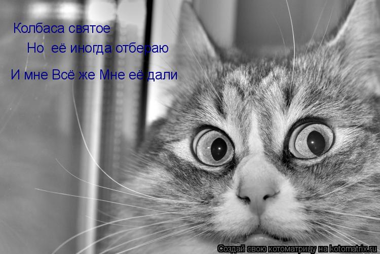 Колбаса святое Но её иногда отбераю Но её иногда отбераю И мне Всё же Мне её дали впервые в 10 лет ... Котоматрица: Колбаса святое Но её иногда отбераю Но её иногда отбераю И мне Всё же Мне её дали впервые в 10 лет И мне Всё же Мне её дали