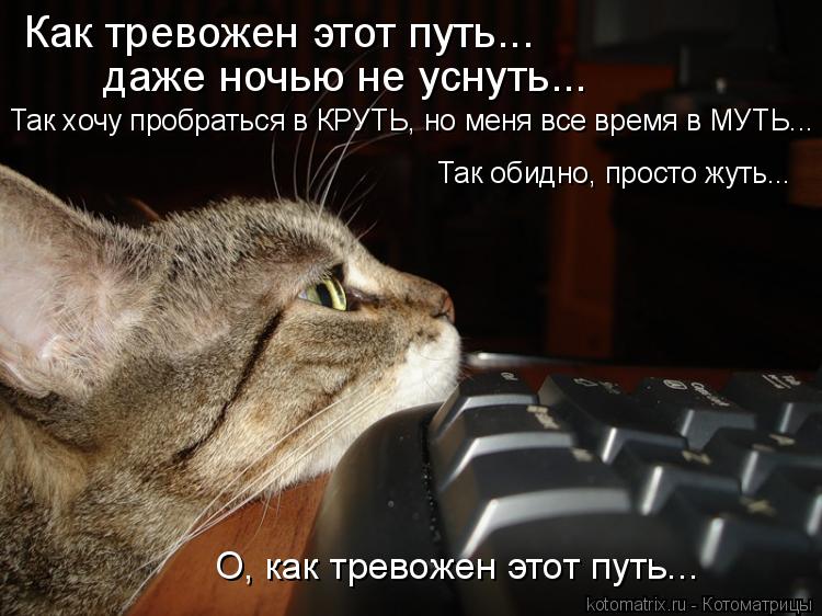 Котоматрица: Как тревожен этот путь... даже ночью не уснуть... Так хочу пробраться в КРУТЬ, но меня все время в МУТЬ... Так обидно, просто жуть... О, как тревож