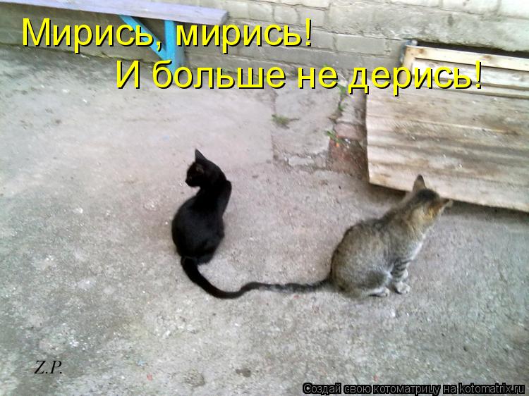 Котоматрица: Мирись, мирись! И больше не дерись!