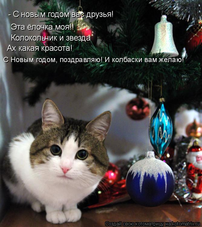 Котоматрица: - С новым годом вас друзья! Эта ёлочка моя!! Колокольчик и звезда Ах какая красота! С Новым годом, поздравляю! И колбаски вам желаю!