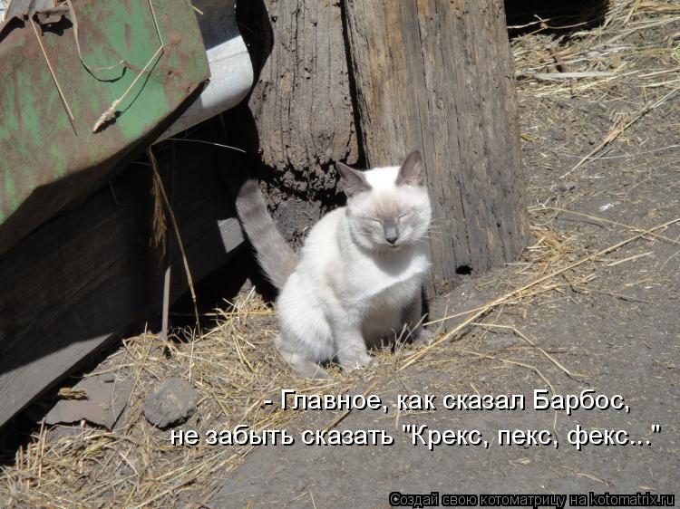 - Главное, как сказал Барбос, не забыть сказать "Крекс, пекс, фекс..."... Котоматрица: - Главное, как сказал Барбос, не забыть сказать "Крекс, пекс, фекс..."