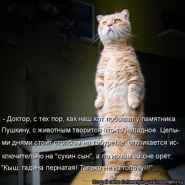 Котоматрица: - Доктор, с тех пор, как наш кот побывал у памятника  Пушкину, с животным творится что-то неладное. Целы-  ми днями стоит столбом на табуретке, 