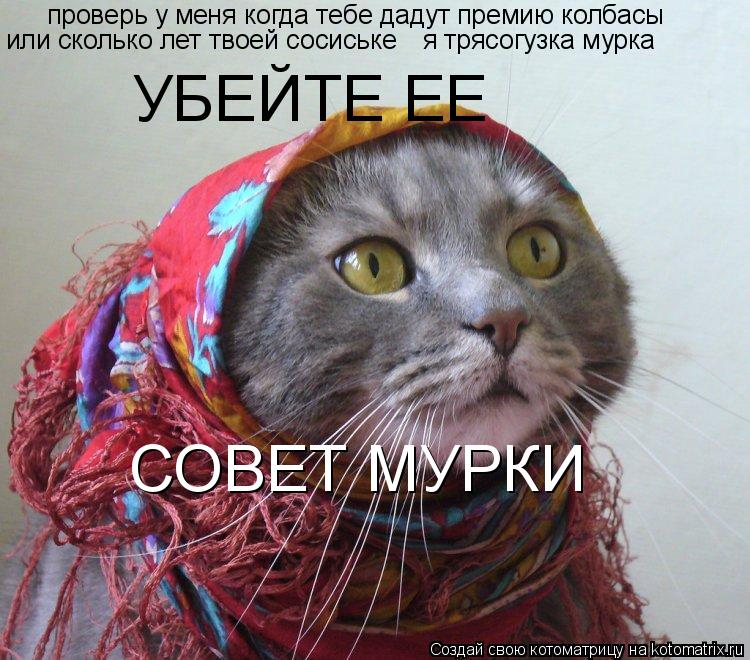 Котоматрица: проверь у меня когда тебе дадут премию колбасы или сколько лет твоей сосиське я трясогузка мурка УБЕЙТЕ ЕЕ СОВЕТ МУРКИ