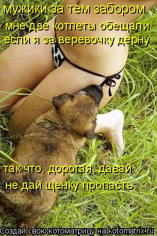 Котоматрица: мужики за тем забором мне две котлеты обещали если я за веревочку дерну так что, дорогая, давай не дай щенку пропасть
