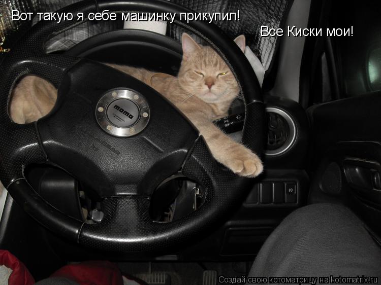 Котоматрица: Вот такую я себе машинку прикупил! Все Киски мои!