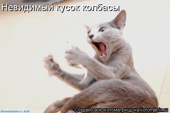 Котоматрица: Невидимый кусок колбасы