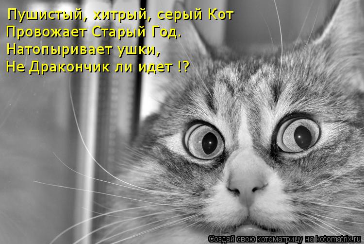 Пушистый, хитрый, серый Кот Провожает Старый Год. Натопыривает ушки, Не Дракончик ли идет !?... Котоматрица: Пушистый, хитрый, серый Кот Провожает Старый Год. Натопыривает ушки, Не Дракончик ли идет !?