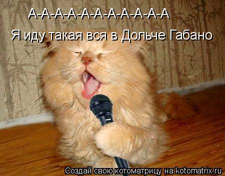 Котоматрица: А-А-А-А-А-А-А-А-А-А-А А-А-А-А-А-А-А-А-А-А-А Я иду такая вся в Дольче Габано