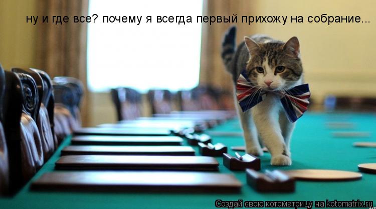 ну и где все? почему я всегда первый прихожу на собрание...... Котоматрица: ну и где все? почему я всегда первый прихожу на собрание...