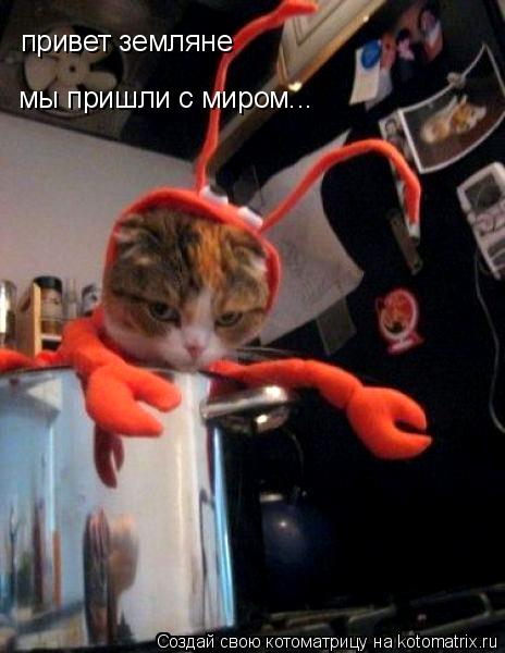 привет земляне мы пришли с миром...... Котоматрица: привет земляне мы пришли с миром...
