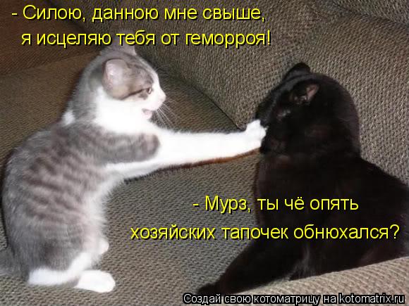- Силою, данною мне свыше, я исцеляю тебя от геморроя! - Мурз, ты чё опять хозяйских тапочек обнюхал... Котоматрица: - Силою, данною мне свыше, я исцеляю тебя от геморроя! - Мурз, ты чё опять хозяйских тапочек обнюхался?