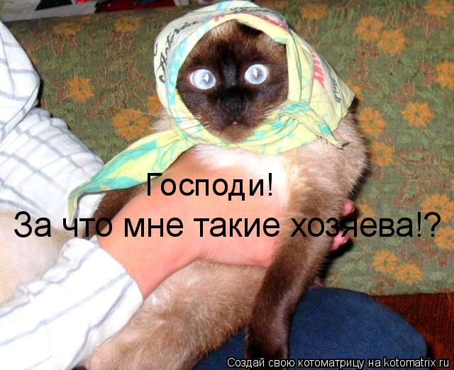 Господи! За что мне такие хозяева!?... Котоматрица: Господи! За что мне такие хозяева!?