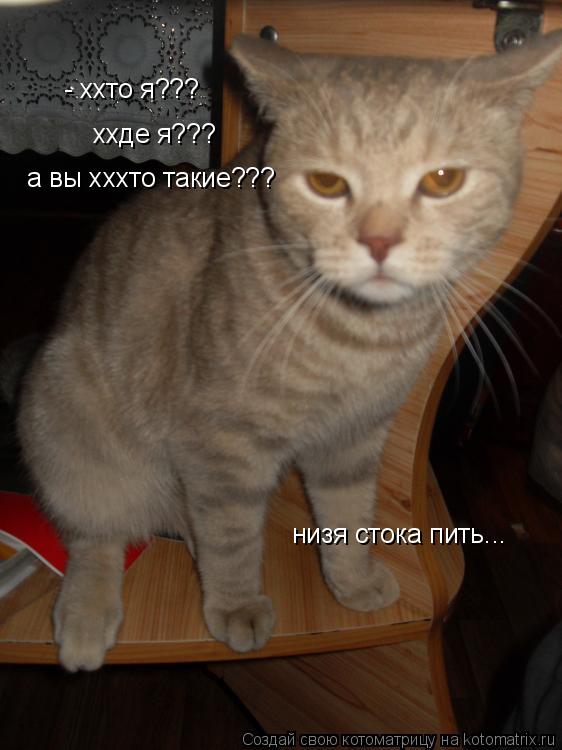 - ххто я??? ххде я??? а вы хххто такие??? низя стока пить...... Котоматрица: - ххто я??? ххде я??? а вы хххто такие??? низя стока пить...