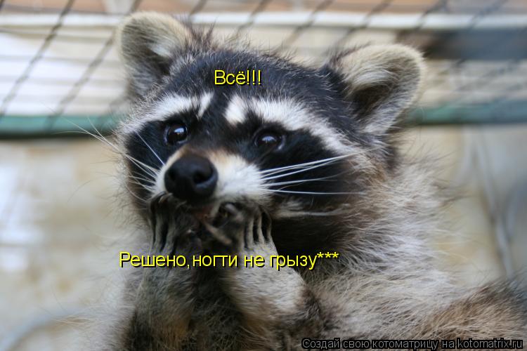 Всё!!! Решено,ногти не грызу***... Котоматрица: Всё!!! Решено,ногти не грызу***