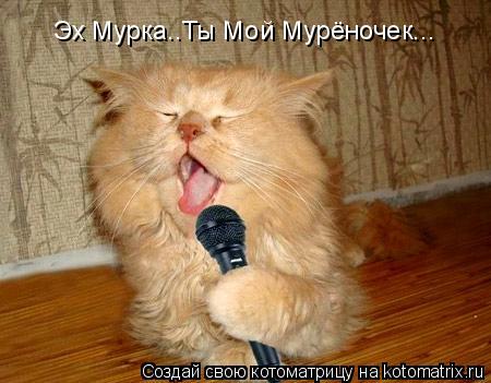 Эх Мурка..Ты Мой Мурёночек...... Котоматрица: Эх Мурка..Ты Мой Мурёночек...
