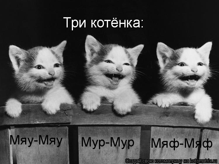Котоматрица: Три котёнка: Мяу-Мяу Мур-Мур Мяф-Мяф