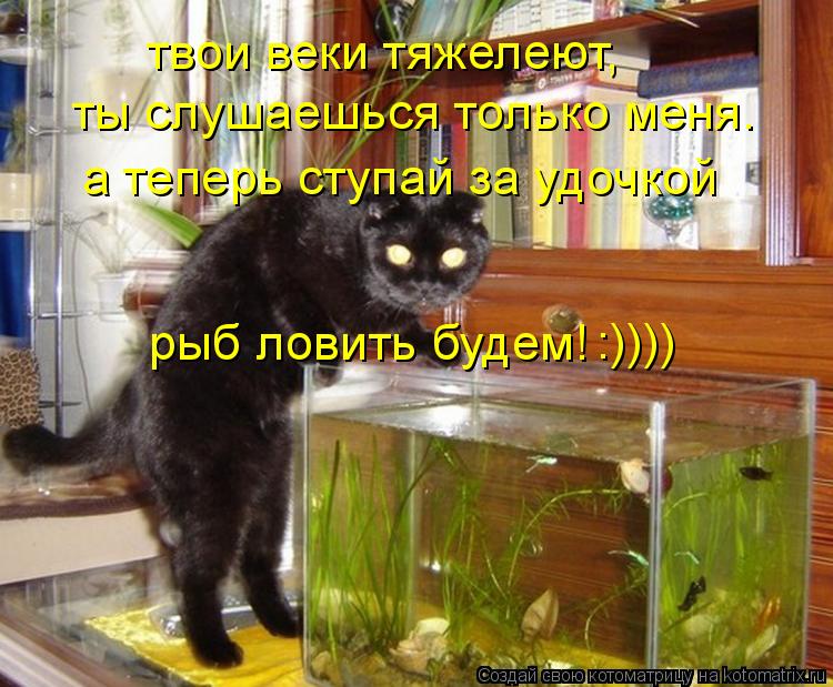 твои веки тяжелеют, ты слушаешься только меня. а теперь ступай за удочкой рыб ловить будем! :))))... Котоматрица: твои веки тяжелеют, ты слушаешься только меня. а теперь ступай за удочкой рыб ловить будем! :))))
