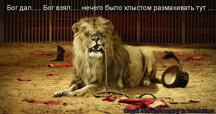 Бог дал..... Бог взял..... нечего было хлыстом размахивать тут ........ Котоматрица: Бог дал..... Бог взял..... нечего было хлыстом размахивать тут .....