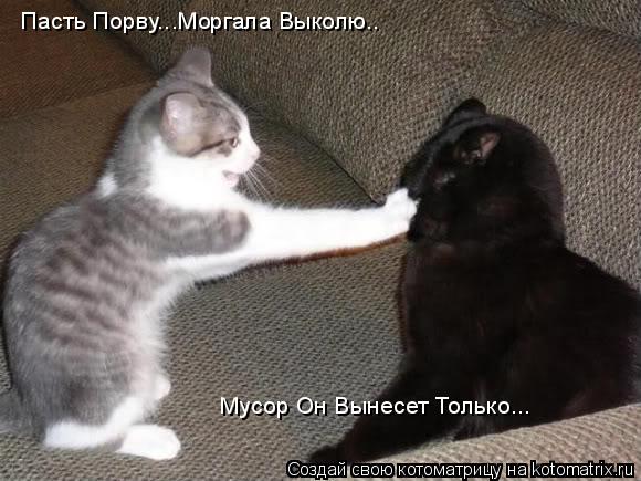 Пасть Порву...Моргала Выколю.. Мусор Он Вынесет Только...... Котоматрица: Пасть Порву...Моргала Выколю.. Мусор Он Вынесет Только...