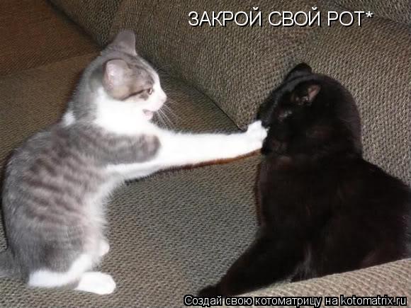 ЗАКРОЙ СВОЙ РОТ*... Котоматрица: ЗАКРОЙ СВОЙ РОТ*