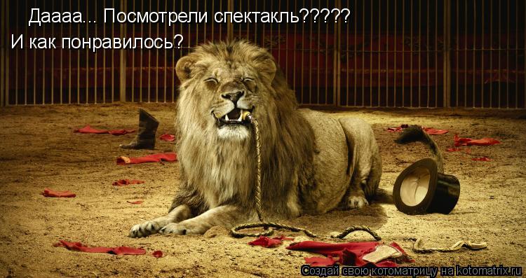 Даааа... Посмотрели спектакль????? И как понравилось?... Котоматрица: Даааа... Посмотрели спектакль????? И как понравилось?
