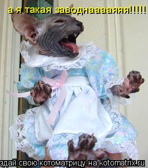 а я такая заводнааааяяя!!!!!... Котоматрица: а я такая заводнааааяяя!!!!!