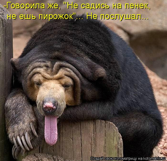 -Говорила же, "Не садись на пенек, не ешь пирожок"... Не послушал...... Котоматрица: -Говорила же, "Не садись на пенек, не ешь пирожок"... Не послушал...