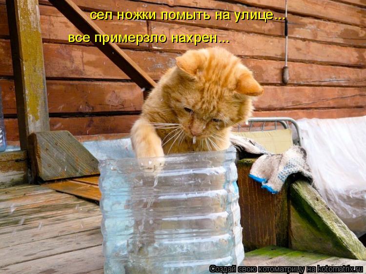 сел ножки помыть на улице... все примерзло нахрен...... Котоматрица: сел ножки помыть на улице... все примерзло нахрен...