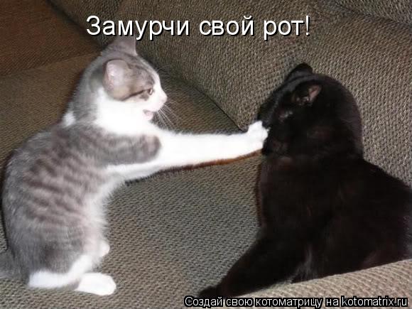 Замурчи свой рот!... Котоматрица: Замурчи свой рот!
