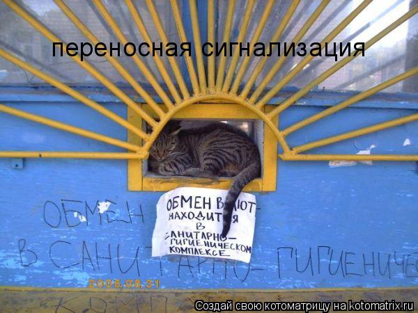 переносная сигнализация... Котоматрица: переносная сигнализация