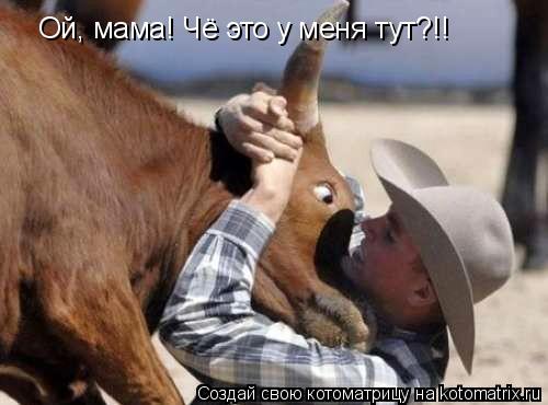 Ой, мама! Чё это у меня тут?!!... Котоматрица: Ой, мама! Чё это у меня тут?!!