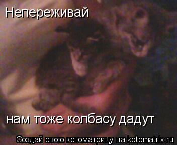 нам тоже колбасу дадут Непереживай... Котоматрица: нам тоже колбасу дадут Непереживай