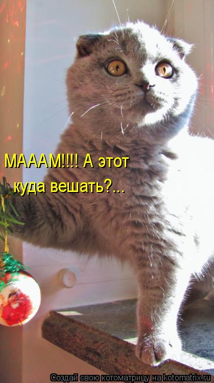 куда вешать?... МАААМ!!!! А этот... Котоматрица: куда вешать?... МАААМ!!!! А этот