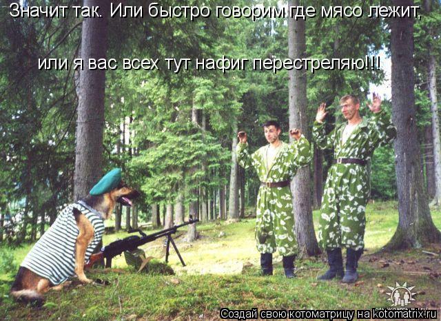 Значит так. Или быстро говорим где мясо лежит, или я вас всех тут нафиг перестреляю!!!... Котоматрица: Значит так. Или быстро говорим где мясо лежит, или я вас всех тут нафиг перестреляю!!!
